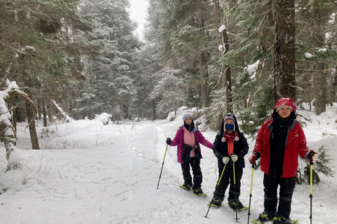 Guided Snowshoeing Adventure from Seward, Alaska 6-Hour Tour