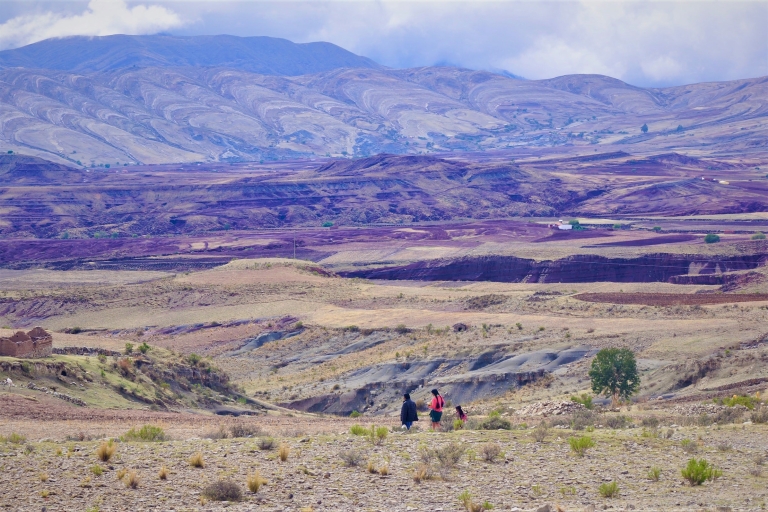 Sucre : Randonnée dans le cratère de Maragua et découverte des empreintes de dinosaures (1 jour)Randonnée dans le cratère de Maragua - Sucre - 1 jour - Circuit privé