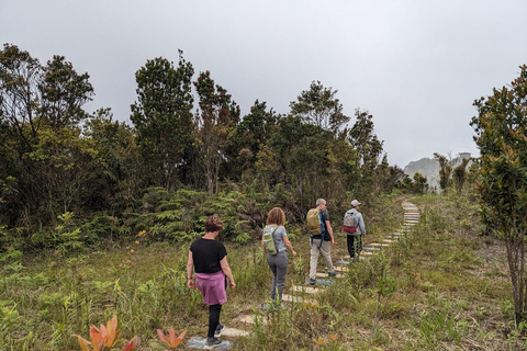 Trektocht Nationaal Park Bach Ma vanuit Hue/Da Nang/Hoi AnVan Hoi An / Da Nang - Kleine groep