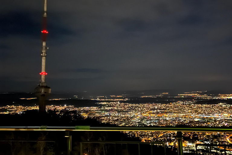 Zurich: Raclette Experience at Uetliberg, Zurich's Viewpoint