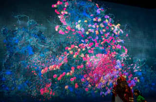 Eintrittskarte für das ArtScience Museum in Singapur