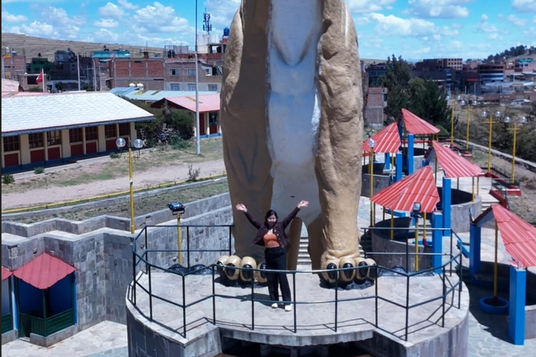 Cultural Puno: Viewpoints, Andean Market, and Historic Center