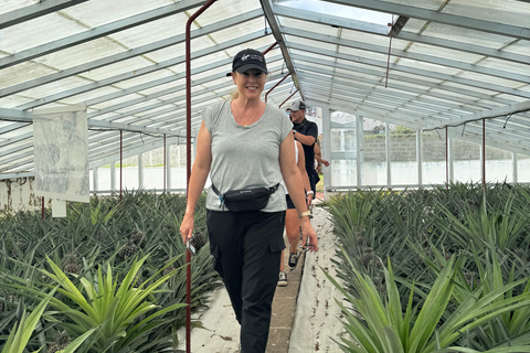 Avventura privata in jeep 4x4 a São Miguel - Tour personalizzato