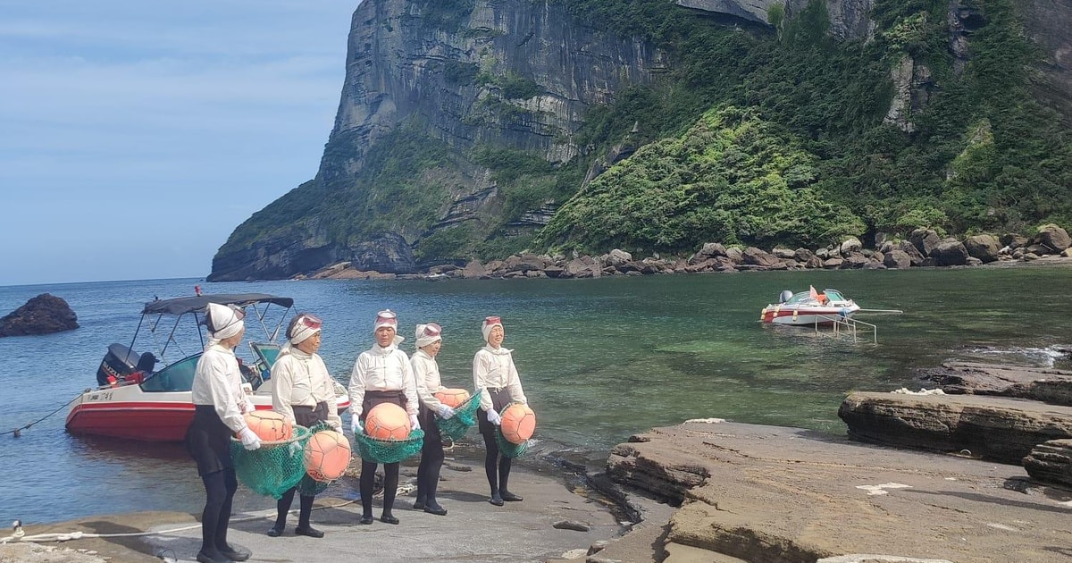 놀라운 제주 화산섬, 한국-자유로운 택시 투어 | GetYourGuide