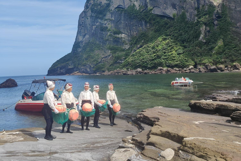 Erstaunliche Vulkaninsel JeJu, Korea - Flexible Taxitour