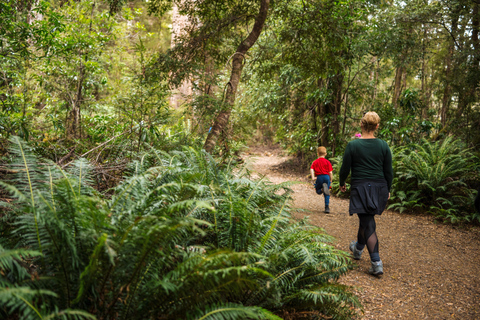 Huon Valley: Tahune Adventures Airwalk Site Entry Ticket