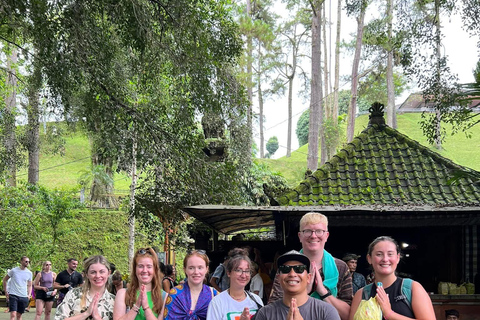 Ubud: Private Half-Day Tour Rice Terrace, Temple & Waterfall Private Half-Day Tour (With Entrance Tickets)