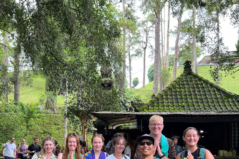 Ubud: Private Half-Day Tour Rice Terrace, Temple & Waterfall Private Half-Day Tour (With Entrance Tickets)