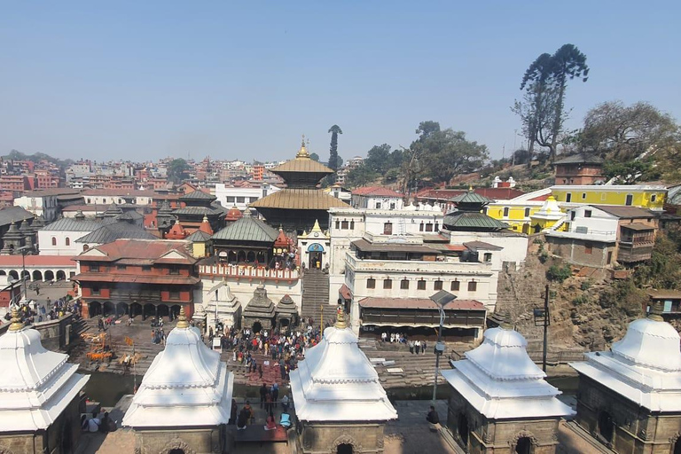 Kathmandu: Buddhist and Hindu Temple Private Guided Day Tour