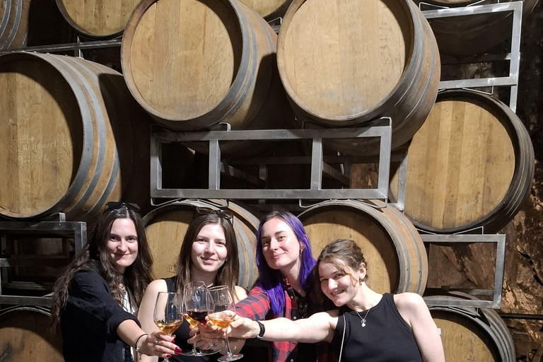 From Catania: Etna Trekking & Wine Tasting Tour with Pickup