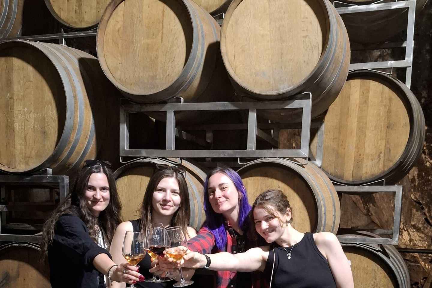 Etna gönguferð & vínferð með akstri frá Catania