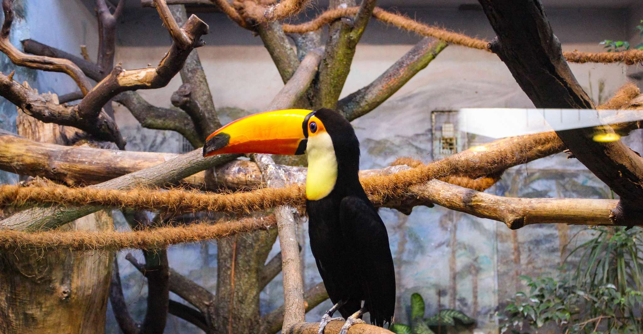 Warsaw_ Parque zoológico con transporte privado - Hizvo