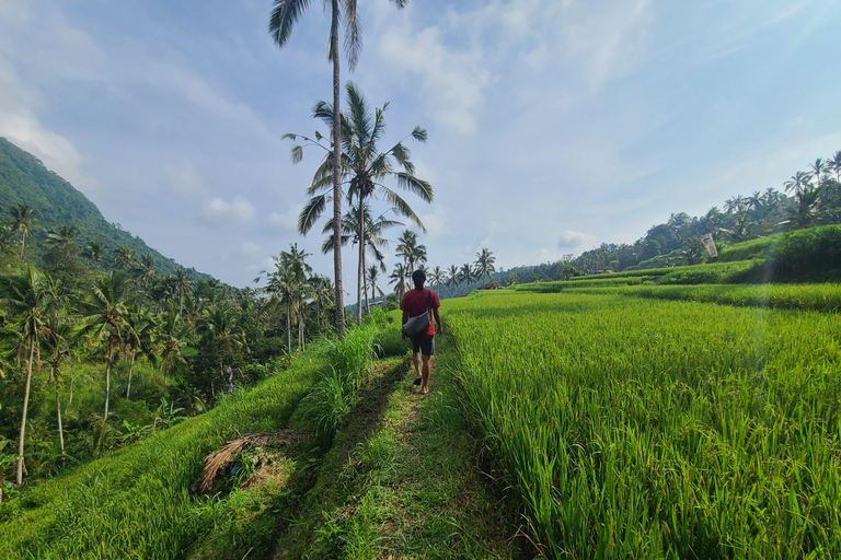 Bali Hidden Trekking, Wasserrutsche, Sekumpul, &amp; Fiji WasserfallAbholung vom Hotel und Rücktransfer zum Hotel inbegriffen