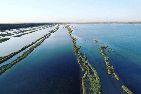 Von Golem/Durres:Divjaka und Karavasta Lagune Jeep Safari