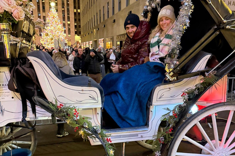 NYC: Central Park Christmas Lights Horse-Drawn Carriage Ride