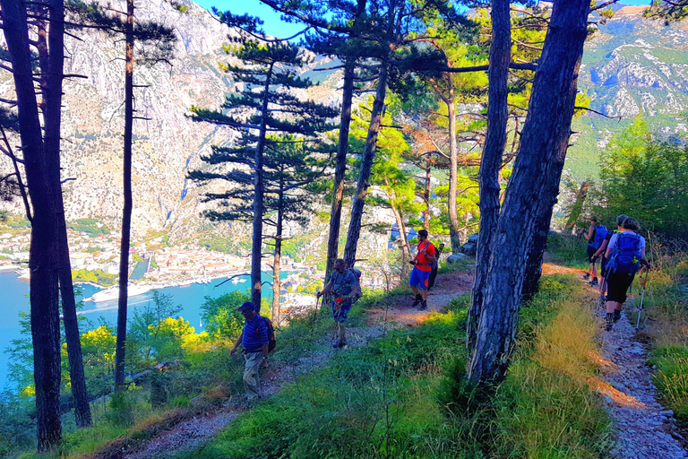 Hiking Vrmac peninsula with panoramic view on Kotor bay