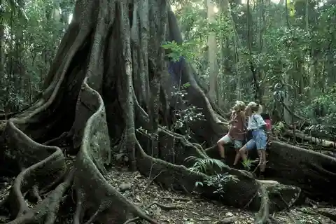 Sri Lanka jungle tour 4 days-rainforests, national parks...