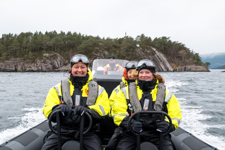 Majesteit Rosendal: Exclusief RIB avontuur in HardangerfjordRosendal: privé RIB-safaritocht door Hardangerfjord