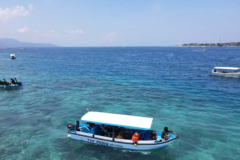 Gili island Snorkelling by private glass bottom boat