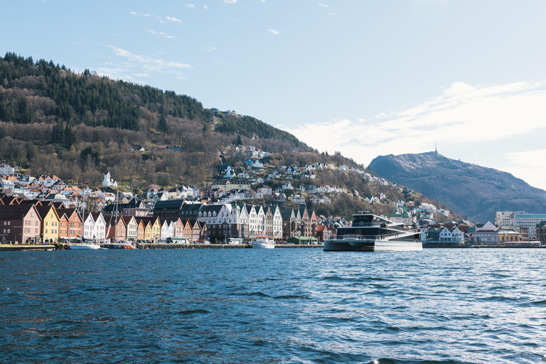 Bergen: Fjord Cruise with Audio Guide