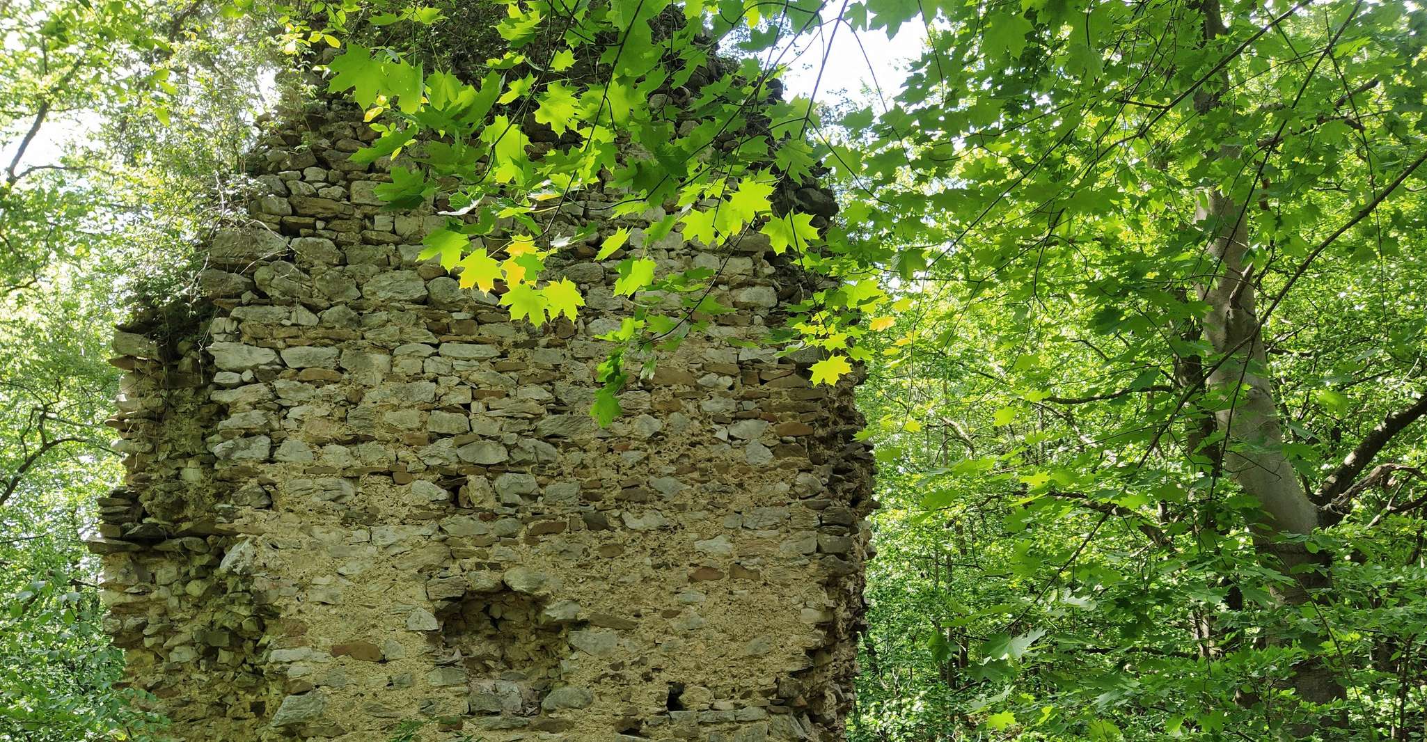 Suitetrails - Moravian Karst, Top secrets Guided HALF Day Tour