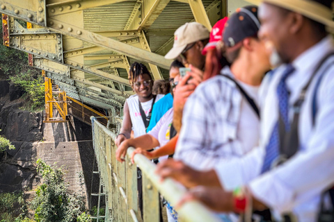 From Victoria Falls: Historical Bridge Tour