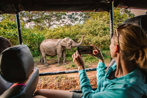 Transfer Ella to Mirissa/Galle/Hikkaduwa in Yala Safari Pick up by Car