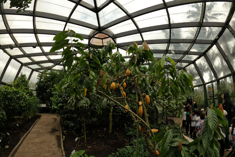 Bogotá: Botanical Garden Sightseeing Tour and Visit to the Paloquemao Market with Fruit Shared Sightseeing Tour + Tickets + Fruit