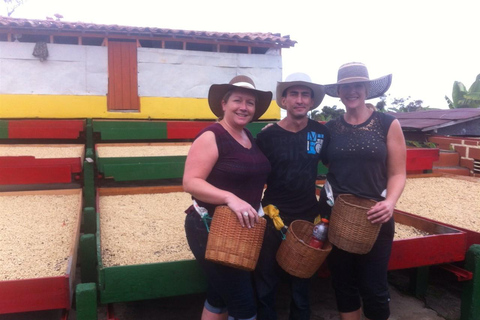 Medellin: Jardin Coffee Farm Tour