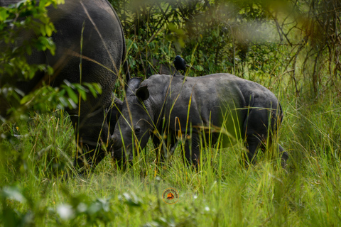 Safari in Uganda di 10 giorni tra natura e primati.