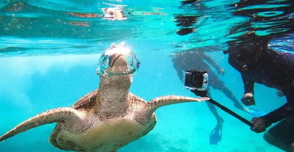 Muscat: Daymaniat Islands Snorkeling Trip with Brunch