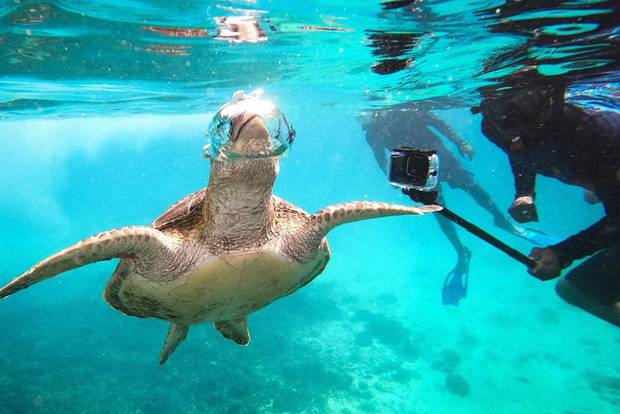 Muscat: Daymaniat Islands Snorkeling Trip with Brunch