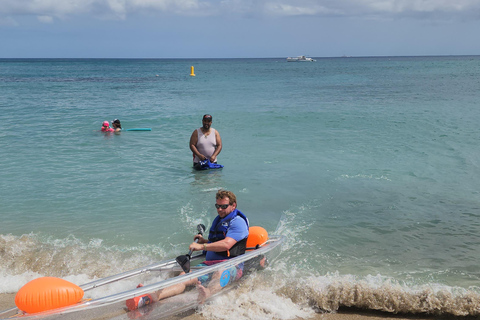 Crystal Clear Kayak Rental Excursion - 100% Transparent