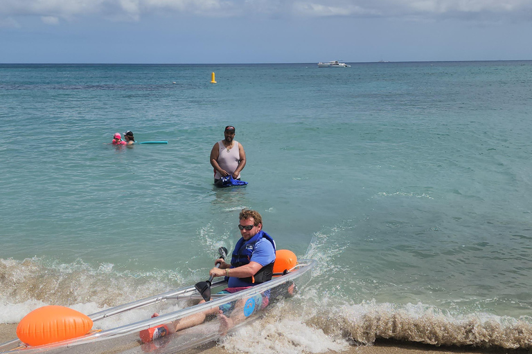 Crystal Clear Kayak Rental Excursion - 100% Transparent