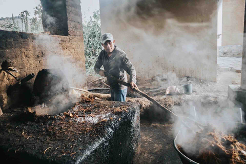 Oaxaca: Crafts & Cuisine Culture Tour