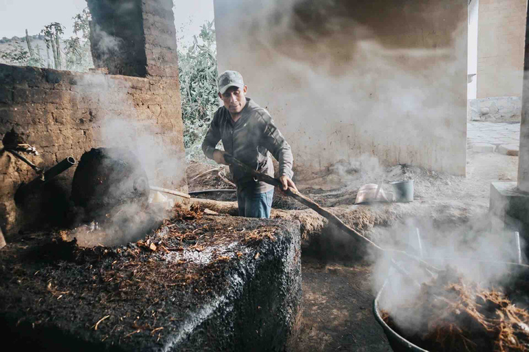 Oaxaca: Crafts & Cuisine Culture Tour