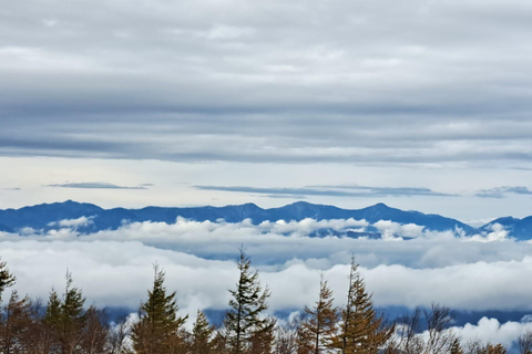 Mount Fuji Full-Day Private Tour from Tokyo (Customizable) Luxury Toyota Crown or SAI