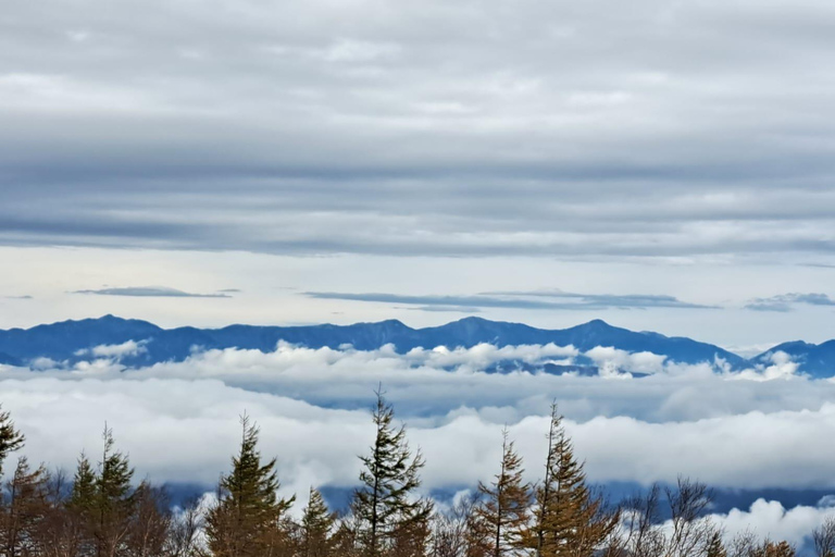 Mount Fuji Full-Day Private Tour from Tokyo (Customizable) Luxury Toyota Crown or SAI