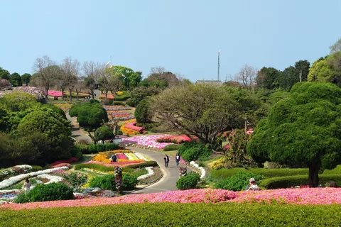Parque da ilha de Nokonoshima: Visita ao jardim e almoço com churrasco de Wagyu