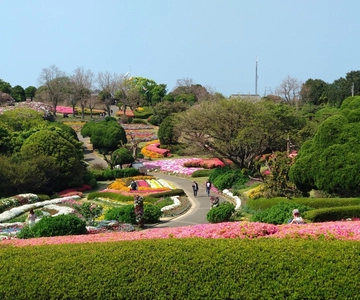 Parco dell'isola di Nokonoshima: Tour dei giardini e pranzo Wagyu BBQ