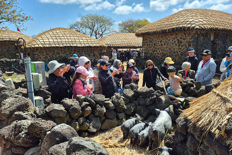 Jeju: UNESCO South & East Highlights 2 Days Combo Tour