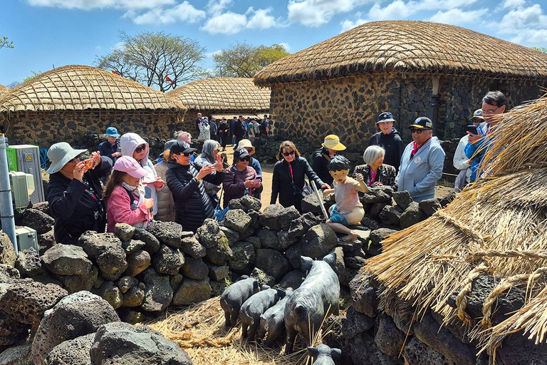 Jeju: UNESCO South & East Highlights 2 Days Combo Tour