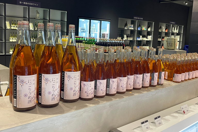 东京：富士山、Tatoo OK 温泉、清酒品尝和 Hoto 午餐