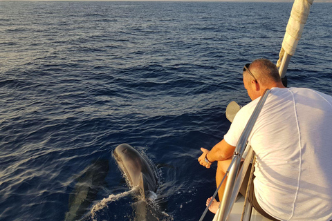 Boat Trip: Dolphin & Whale Watching Sailing Tour 11 Pax Max Boat Trip: Dolphin & Whale Watching Sailing Tour 11 Pax Max