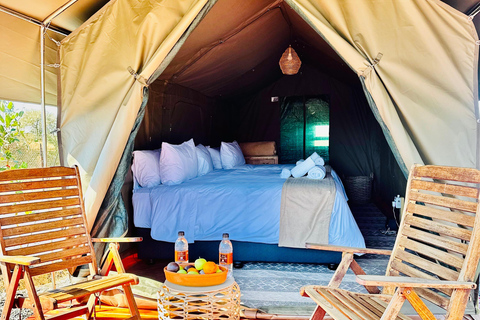 4-daagse Pilanesberg Tlou En-Suite Tented Safari