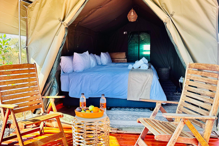 3-tägige Pilanesberg Tlou En-Suite Zelt-Safari3-tägige Pilanesberg Tlou Safari mit Zeltunterkunft und eigenem Bad