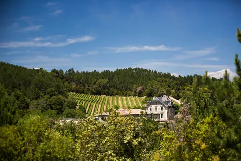 Languedoc: Heritage Tour & Tasting at Domaine de Baronarques