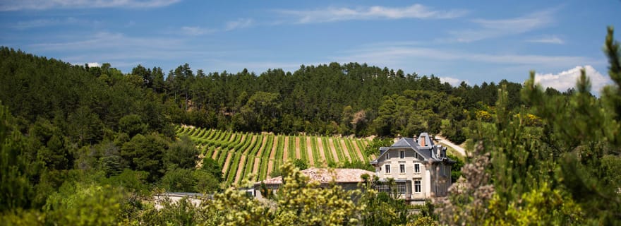 Languedoc : Visite du patrimoine et dégustation au Domaine de Baronarques