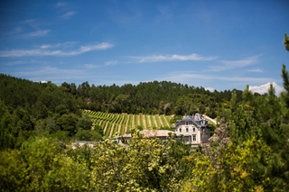 Languedoc: Heritage Tour & Tasting at Domaine de Baronarques