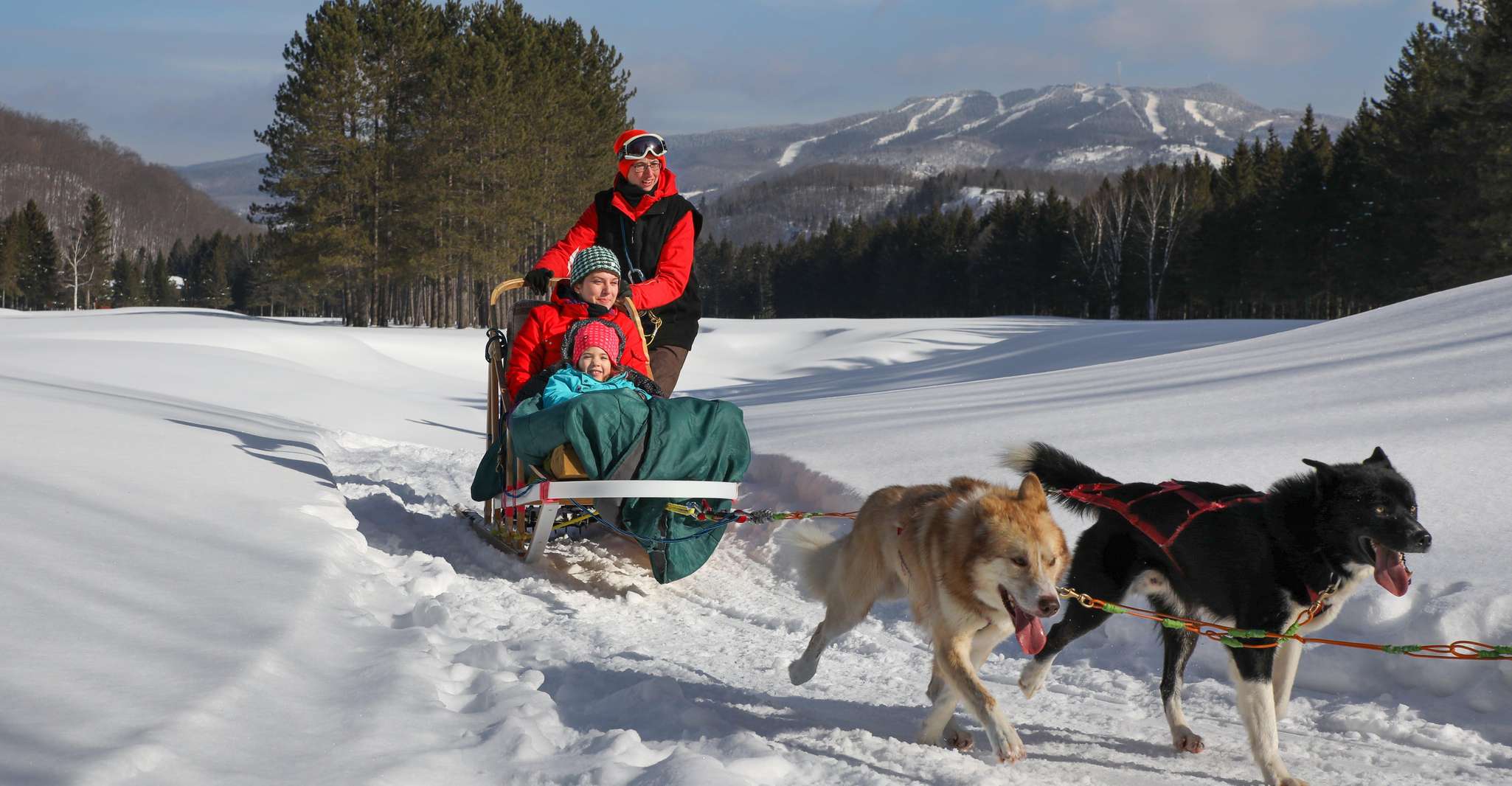 Mont-Tremblant, Dogsledding Experience - Housity